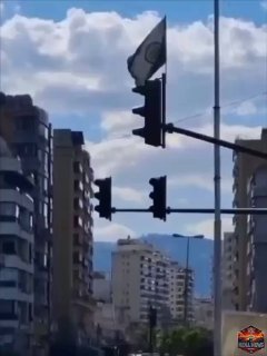 ספיר ליפקין...