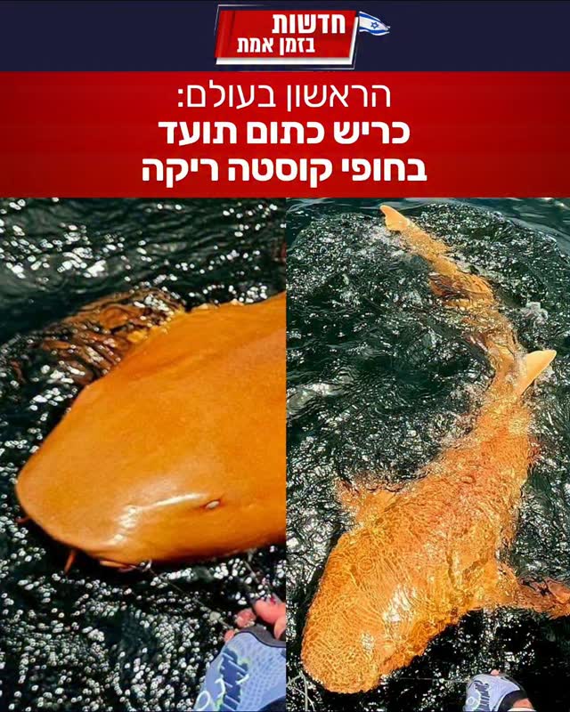 בלתי נתפס - תופעת טבע מדהימה בקוסטה ריקה...
