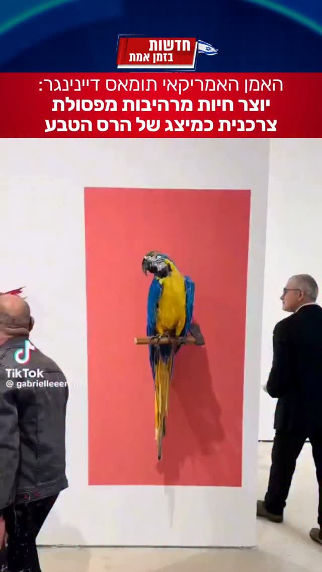 בטוחים שזו ציפור? תסתכלו שוב והפעם מקרוב: האמן תומאס דיינינגר...