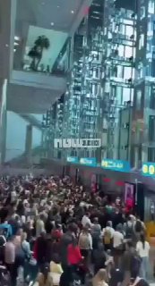 חשבתם שנתב"ג בכאוס?...