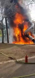 גן סקאר הבוקר בירושלים...