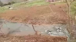 בלבנון מדווחים כי צה״ל תקף גשר נוסף בדרום המדינה....