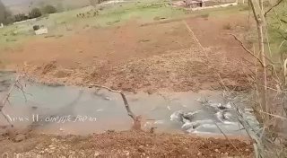 במהלך הלילה הותקף ונהרס גשר חרדלי שממוקם בליטאני, מדובר בגשר...