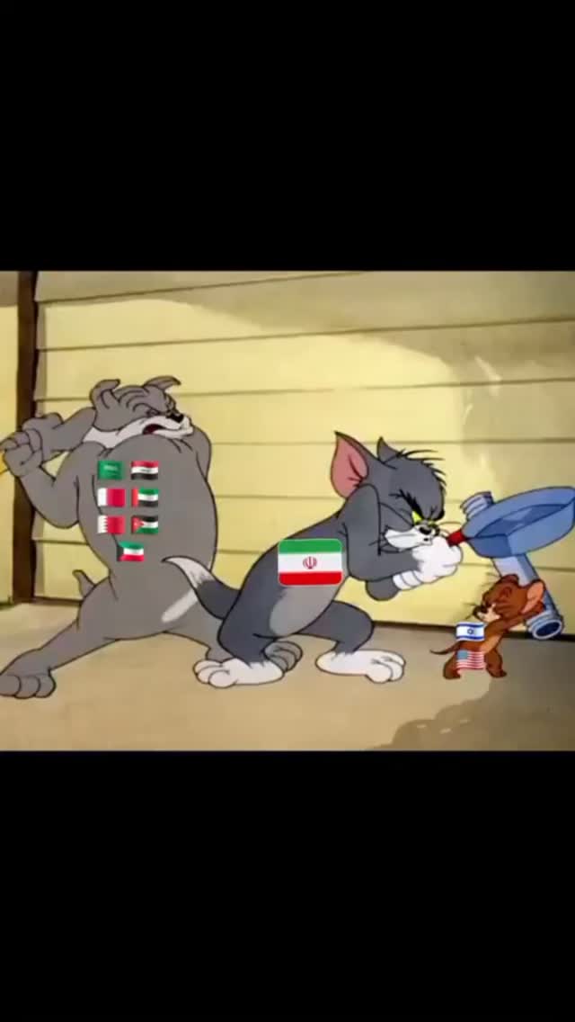 Situation nowadays 🙀...