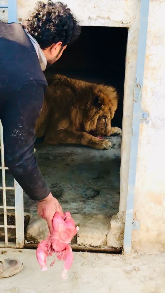 מסוכן, אל תנסו את זה בבית :)...