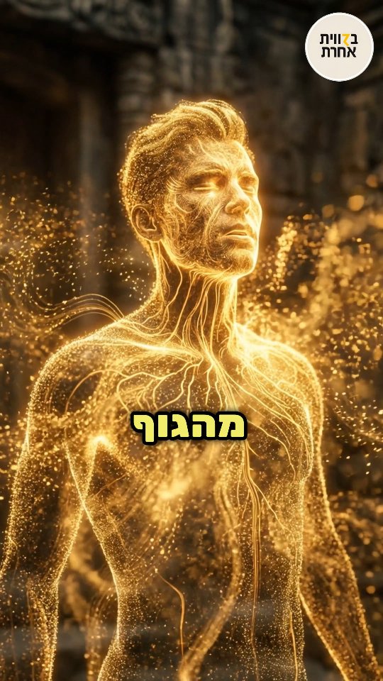 התאים התחלפו, הגוף התחדש - הגיע הזמן שגם הזהות תשתחרר מהעבר....