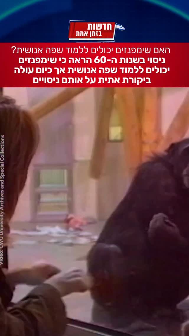 קרובי המשפחה שלנו התחילו לדבר - אבל האם היה נכון לעשות עליהם...