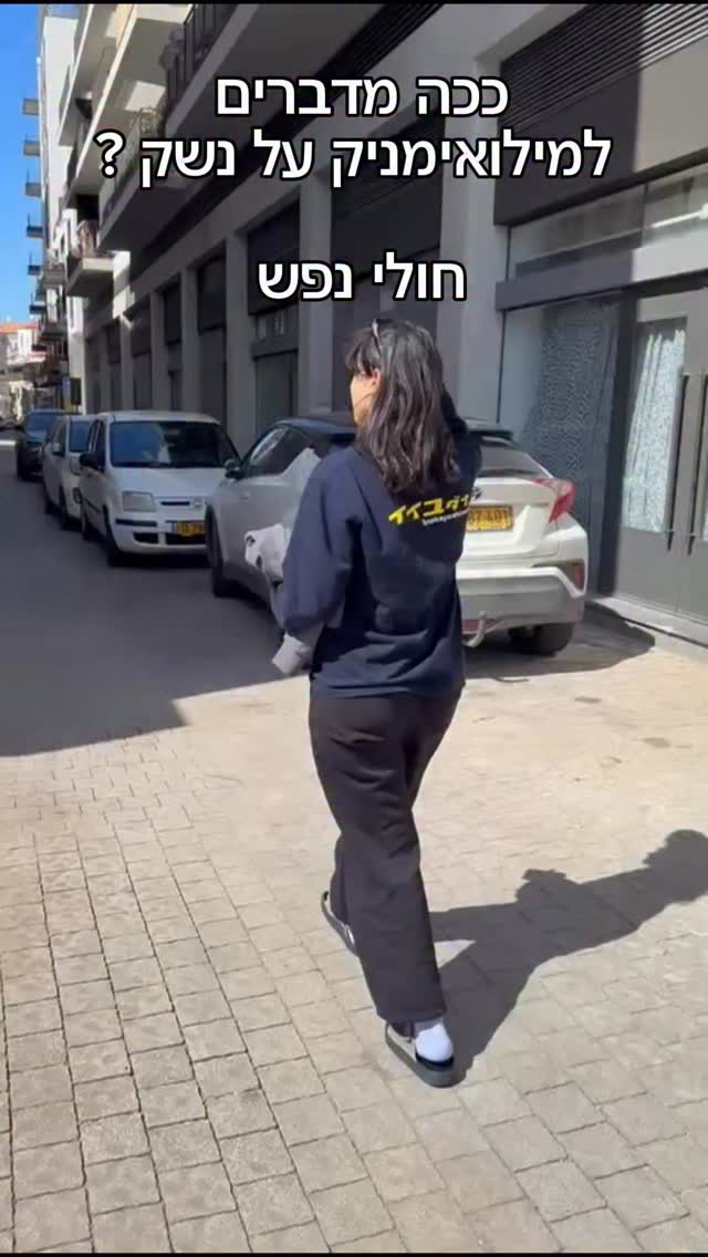 "ככה מדברים למילואימניק על נשק? חולי נפש"...