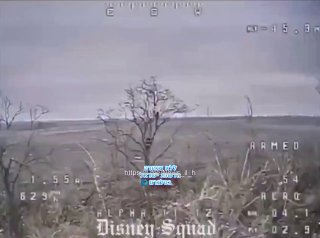 חייל רוסי טיפס על עץ בניסיון להציל את חייו. זה לא עזר לו כל כך...