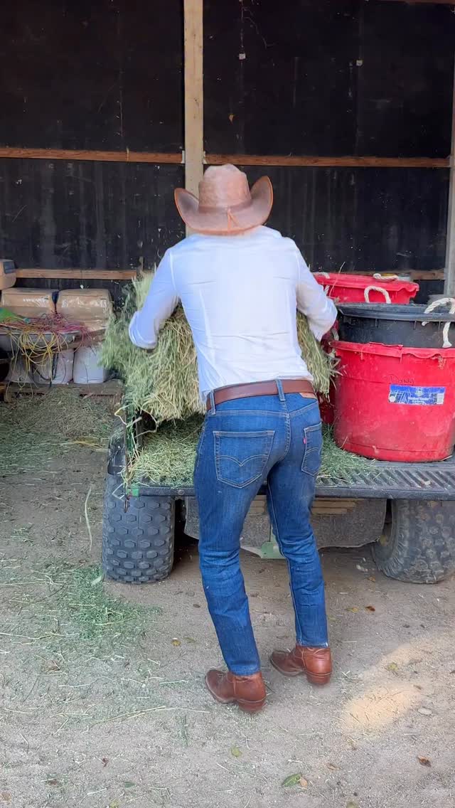 פינת האגו הגברי...