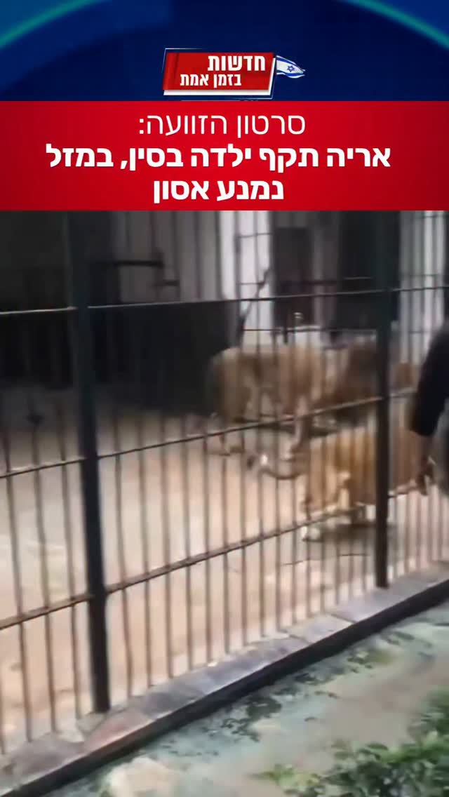 סרטון הזוועה:...