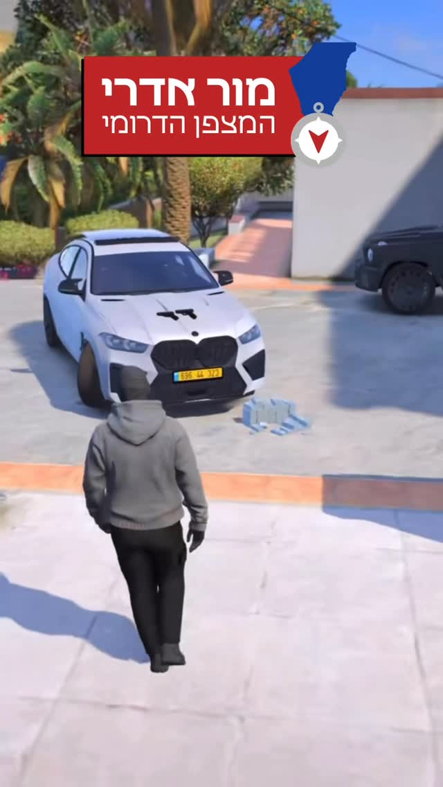 זה משחק מחשב שמדמה פשיעה בדואית....