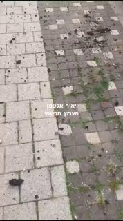 ראשל"צ(27 א)...