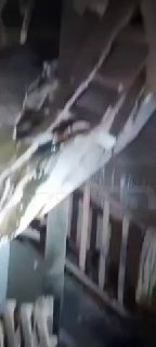 המוקד: תיעוד מאחת הזירות בדימונה....