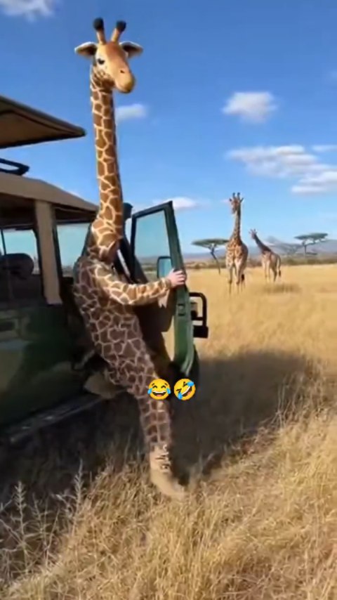 האדיוט היומי...