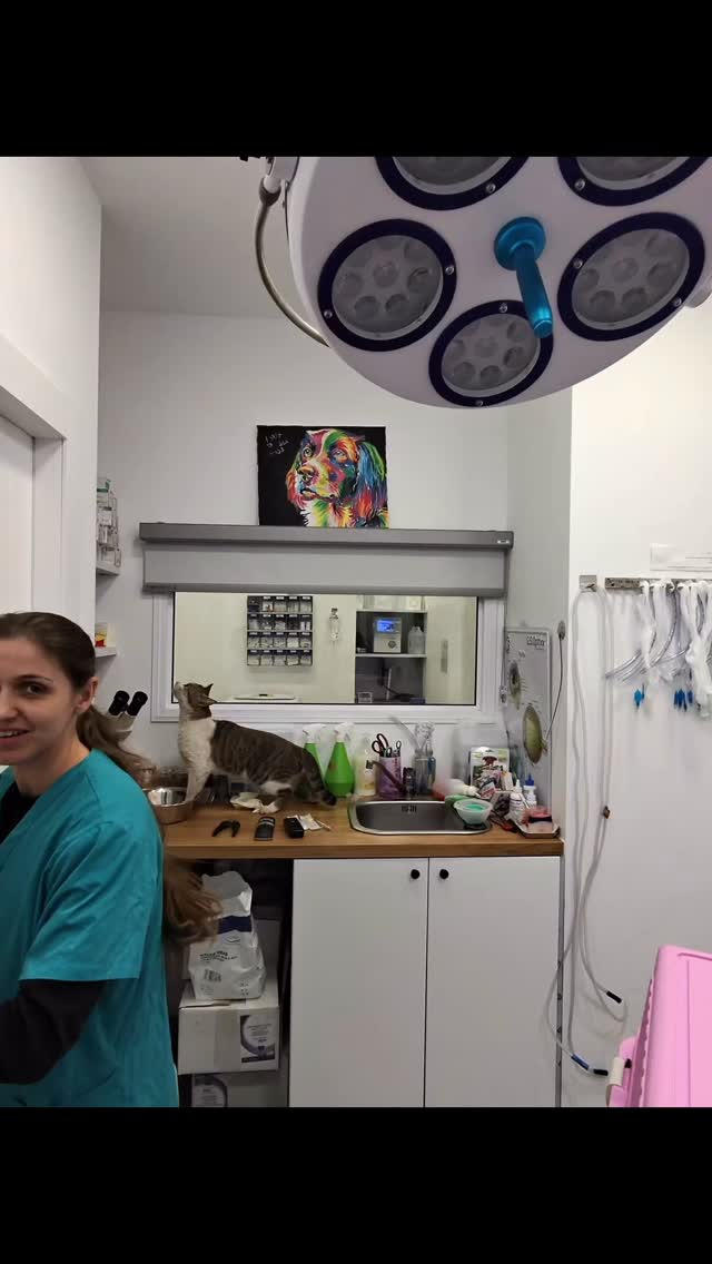 וגם זה קורה לפעמים.