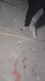 תיעוד לא קל לצפייה מערד ....