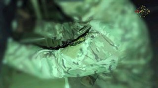 המיליצייה השיעית "סראיה אוליה אל-דאם" מפרסמים תיעוד בו הם...