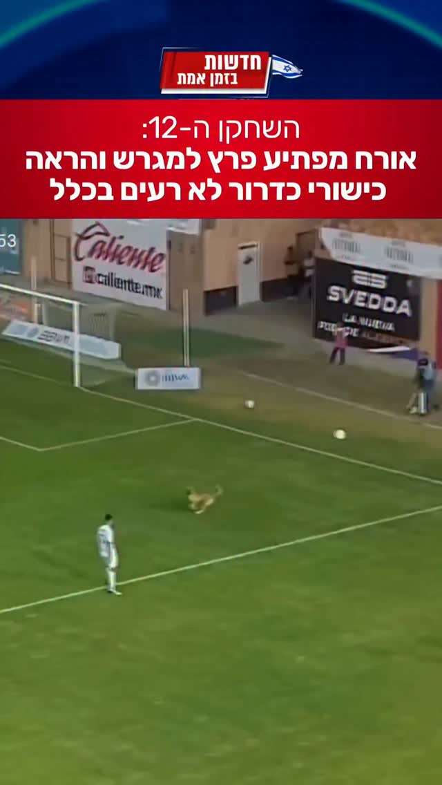 אירוע הזוי על כר הדשא...