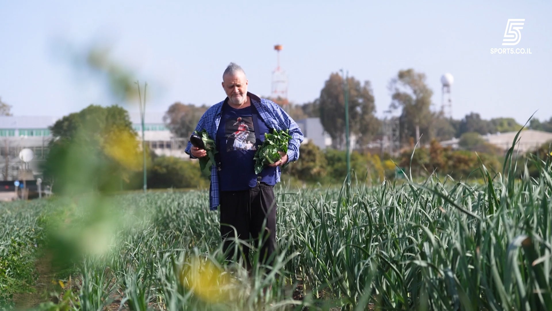 "עדיף ללקט קולוראבי מאשר לקבל טיל מאבו דאבי" - צפו במערכון...