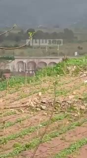 זווית נוספת מהפצצת גשראל-קאסמיה בלבנון...