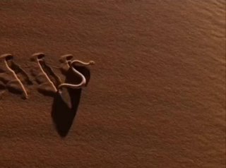 עקבות מסתוריות, או נחש בחול 🐍...