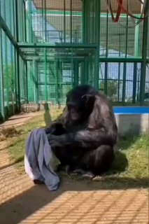 מתפתח לאט 😂...