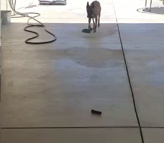 שרת במשרה חלקית 😂...