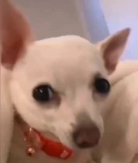 מפלרטטים איתך עם 😏...