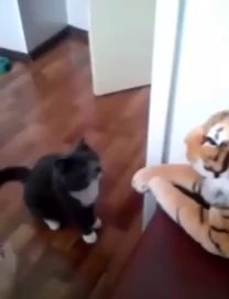 הראה/ה מי האחראי כאן 😂...