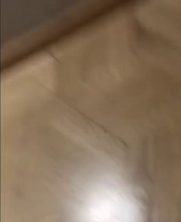 התחמקויות מושלמות 😂...