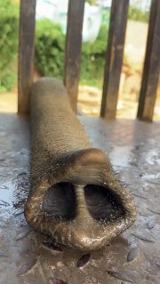 אני צריך עוד בננות! 😂...