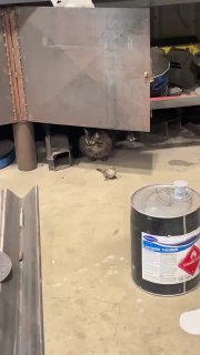 משהו השתבש... 😅...