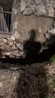 נפילה נוספת בנשר...