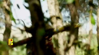 סרטון איום חדש: אם הטנקים שלכם יגיעו ללבנון, לא יישארו לכם...