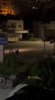 כוחותינו פועלים כעת בשכם....