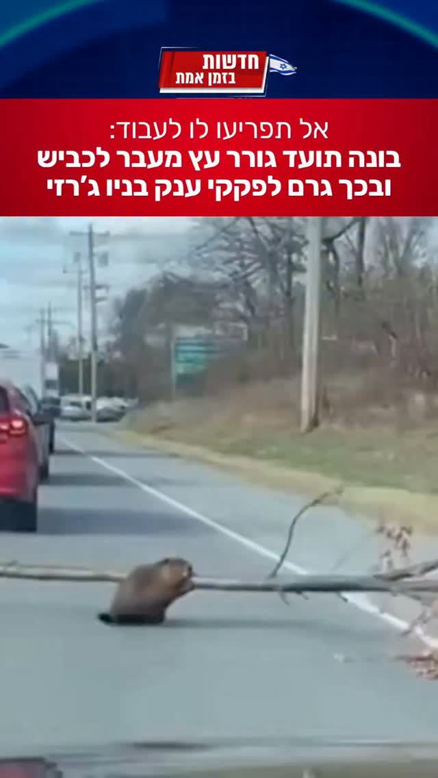 הסיבה הביזארית לעומסי התנועה...