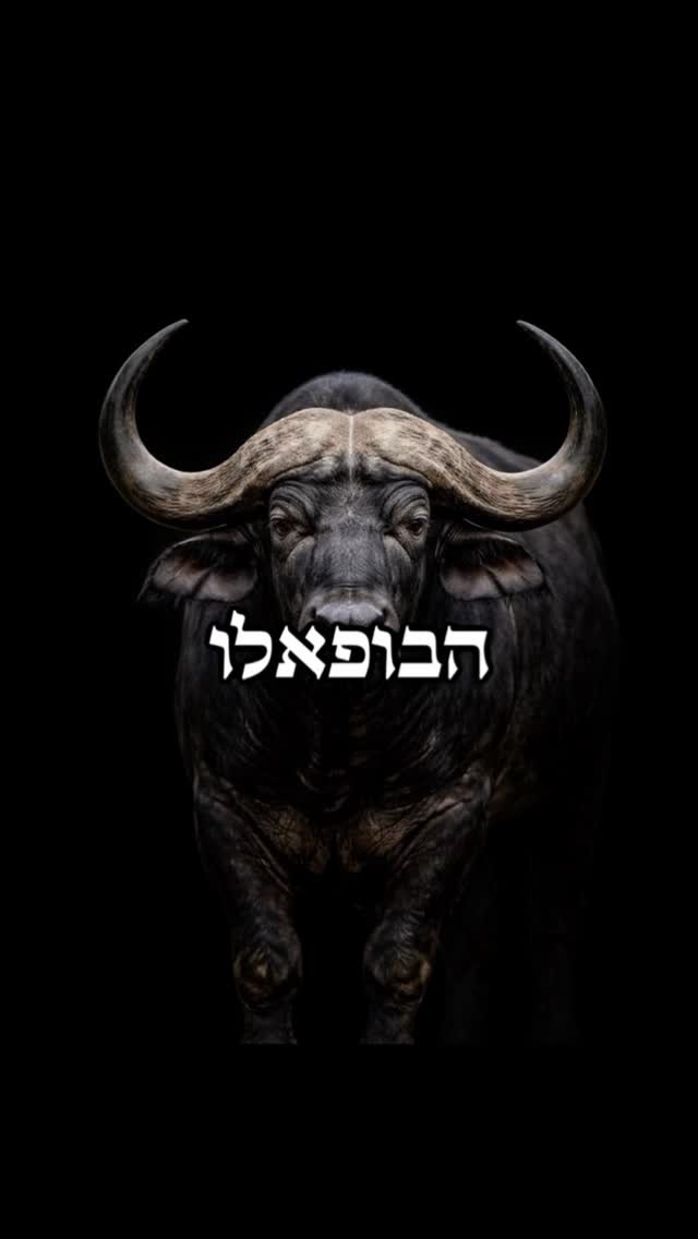 משל הבופאלו 🐂...