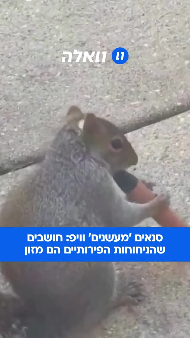 מכת הסיגריות האלקטרוניות הפכה לכל כך נפוצה, שמתברר שאפילו...