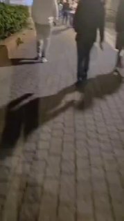 בחניה של שיפודי התקווה בשכונת התקווה...