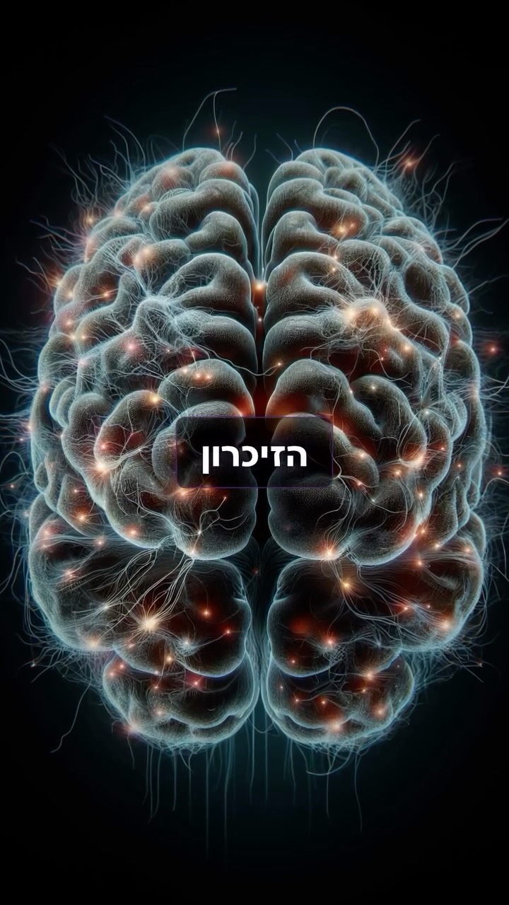 ⁨ מכירים חבר שהיה מצליח לא לישון כל כך הרבה?...