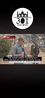 הפרובוקציות של עלי שועיב מול חיילי צהל בקו הגבול לאורך שנים....