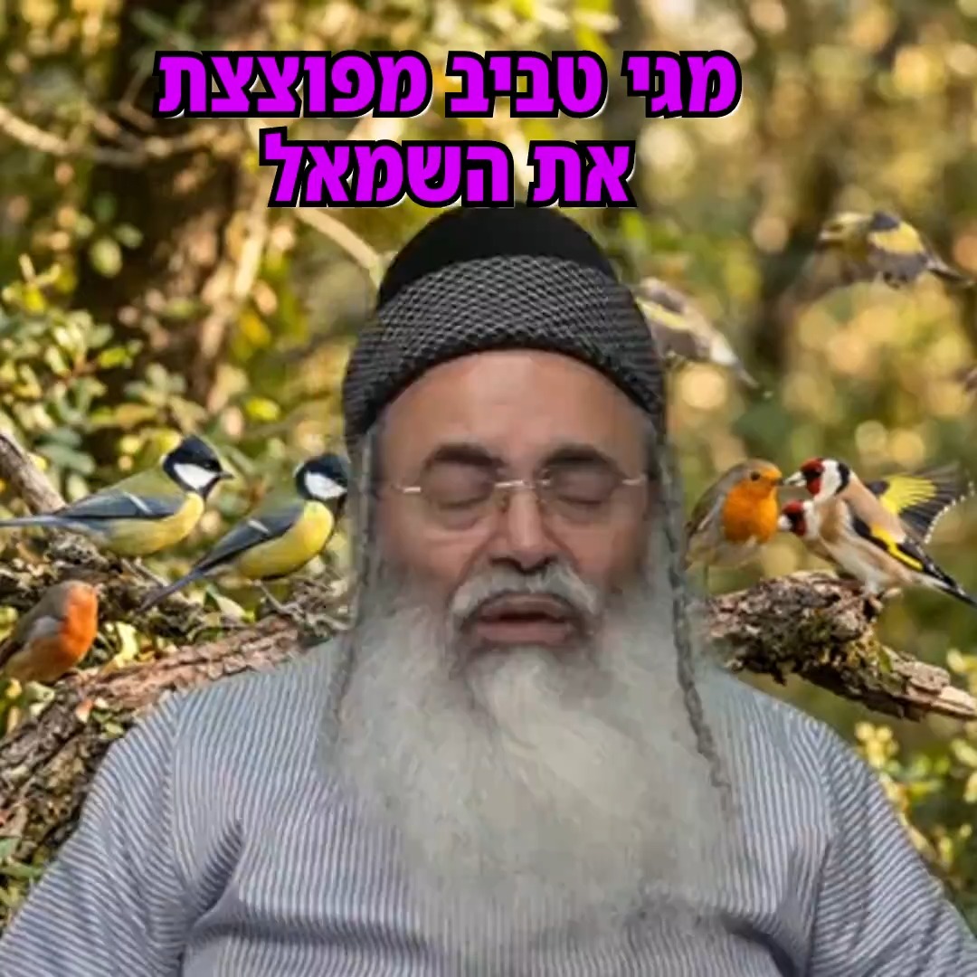 מגי טביב מפוצצת את השמאל.