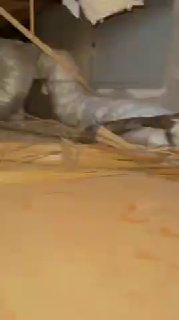 פצצת המצרר שנמצאה בגג של בית בסביון...