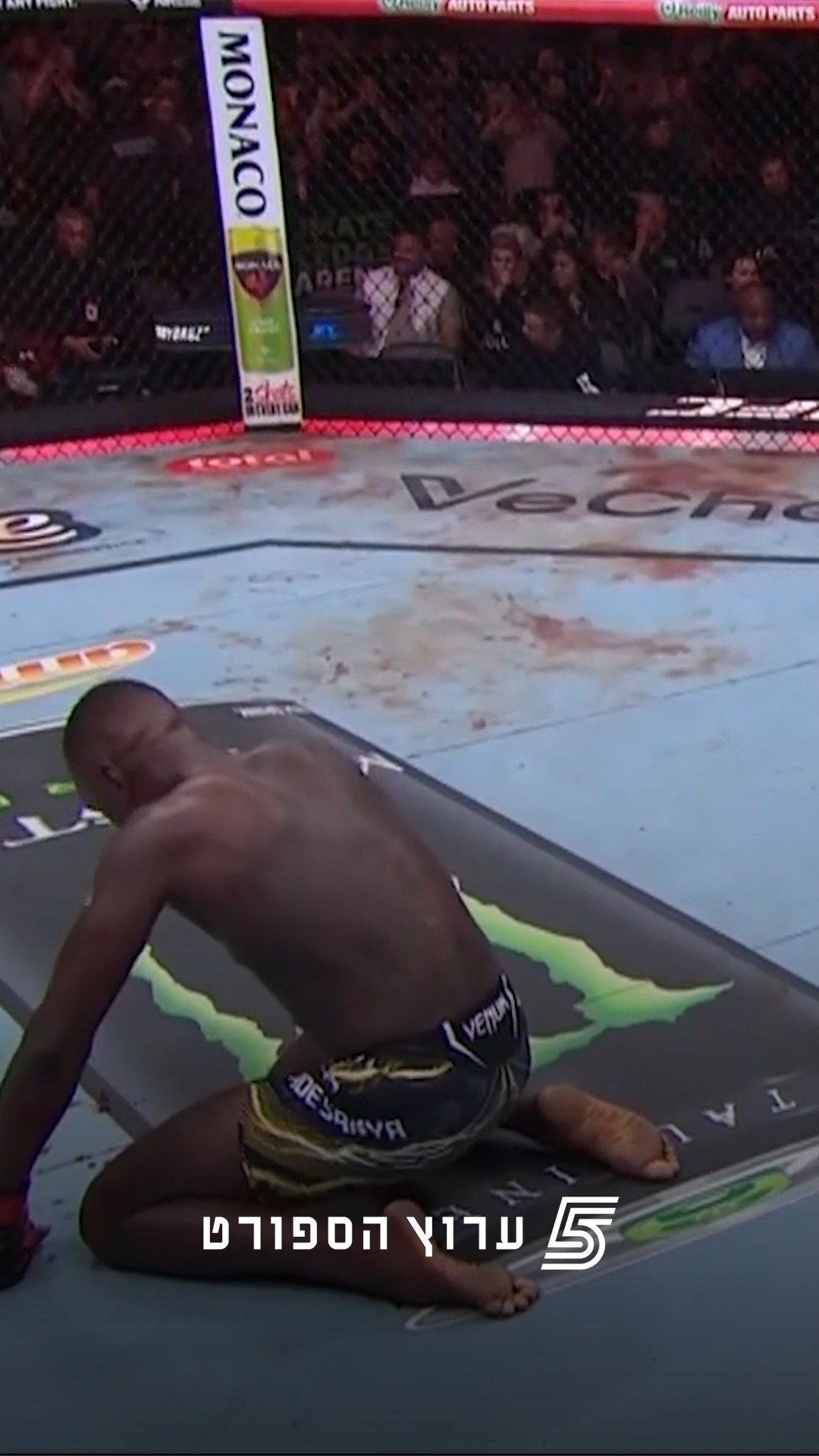 נוקאאוט תוך חצי דקה של מקיני על נלסון💥...