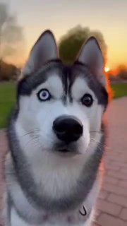 לכולם שתי עיניים לא לכולם אותו מבט😉...