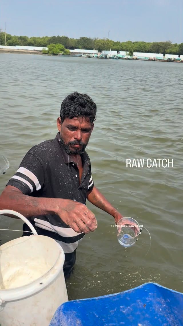 טריק הדיג הטוב ביותר...