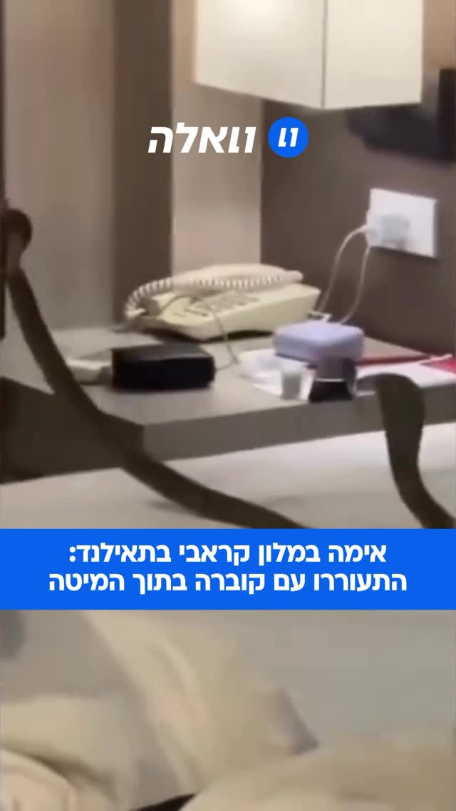 ⁨ זוג שנפש במלון קראבי, תאילנד חווה סיוט של ממש. בסביבות השעה...