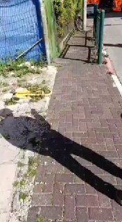 פתח תקווה...