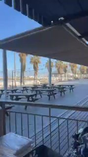 חוף גורדון...